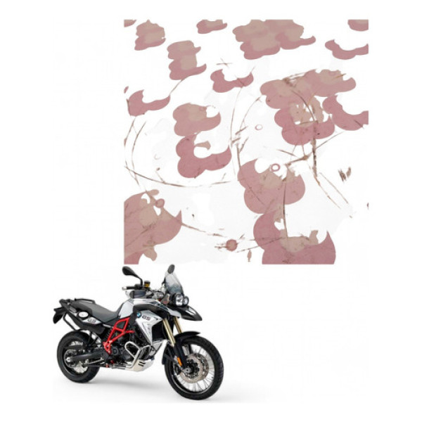 Kit Parafuso Disco Freio Traseiro Bmw F800 Gs 2013