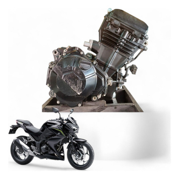 Motor Kawasaki Z300 2019