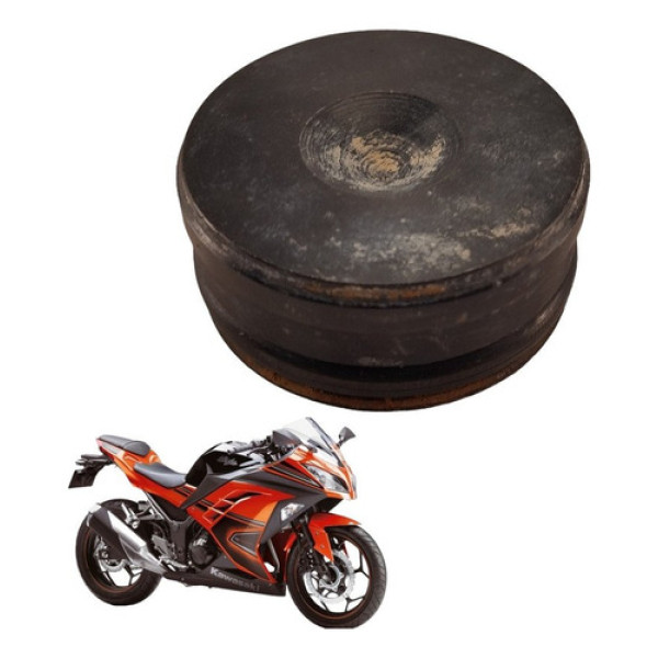 Tampa Bengala Kawasaki Ninja 300 2014