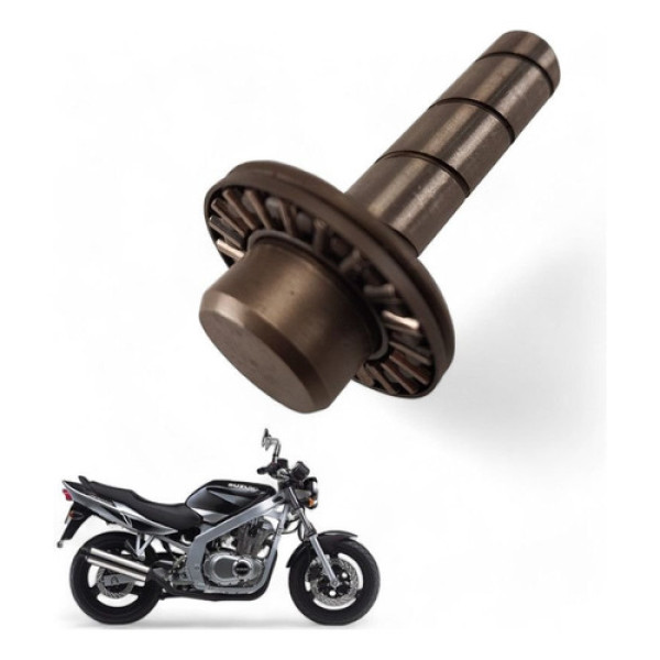 Pino Campana Suzuki Gs 500 E 2004