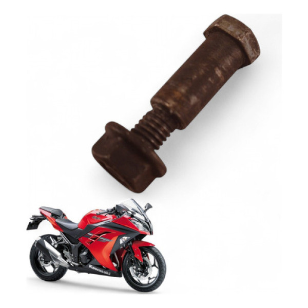 Parafuso Manete Freio Kawasaki Ninja 300 2013