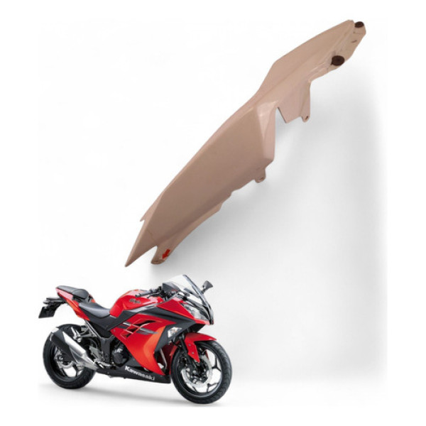 Carenagem Rabeta Esquerda Kawasaki Ninja 300 2013 Com Avaria