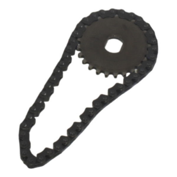 Corrente Bomba Óleo Dafra Next 250 2014 (516)