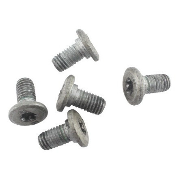 Parafuso Disco Freio Traseiro Bmw F800 Gs (490)