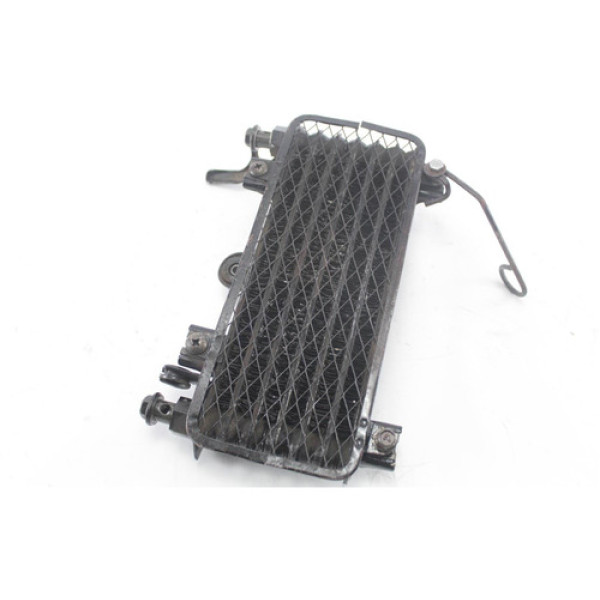 Radiador De Óleo Kawasaki Zx 600 (338)