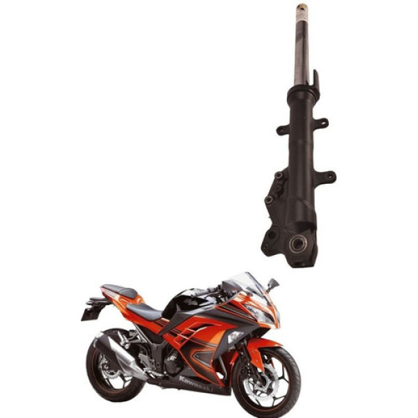 Bengala Direita Kawasaki Ninja 300 2014