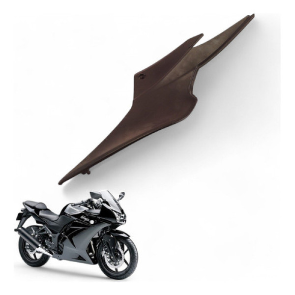 Acabamento Lateral Direito Kawasaki Ninja 250 R 2010