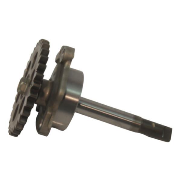 Bomba Óleo  Kawasaki Ninja 300 2015 (500)