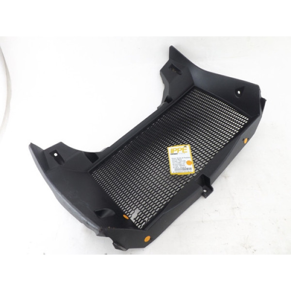 Grade Do Radiador C/ Detalhes Bmw F 800 Gs 2013 (311)
