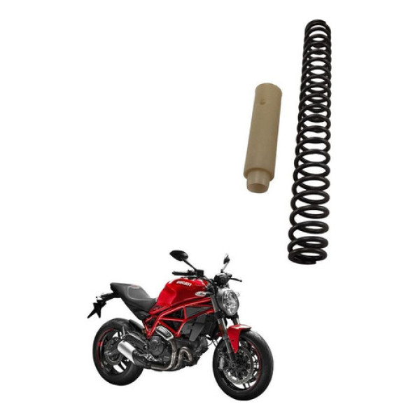 Mola Bengala Ducati Monster 797 2018