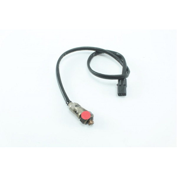 Sonda Lambda Triumph Tiger 1200 Xca (364)