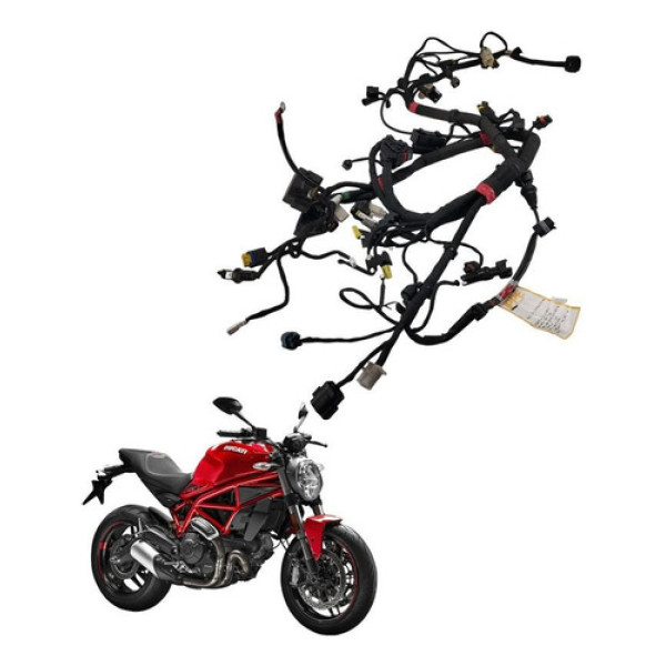 Chicote Principal Ducati Monster 797 2018