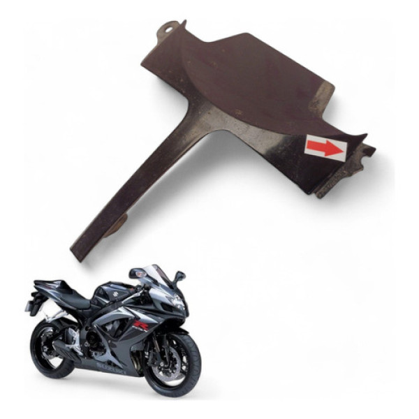 Acabamento Lanterna Traseira Suzuki Srad 750 2007 Com Avaria