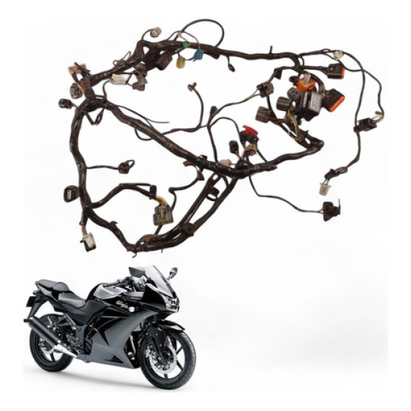 Chicote Principal Kawasaki Ninja 250 R 2009 Com Avaria