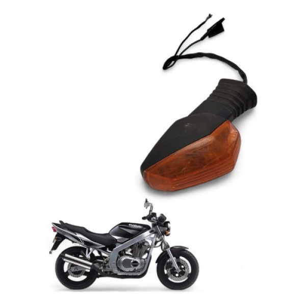 Pisca Traseiro Esquerdo Suzuki Gs 500 E 2004