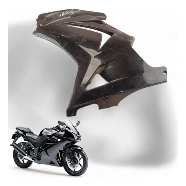 Carenagem Lateral Esquerda Kawasaki Ninja 250 R 2010 Com Ava