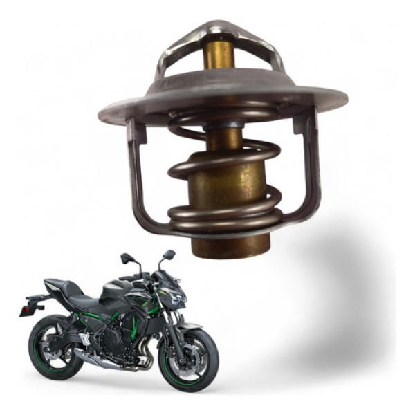 Válvula Termostática Kawasaki Z 650 2022
