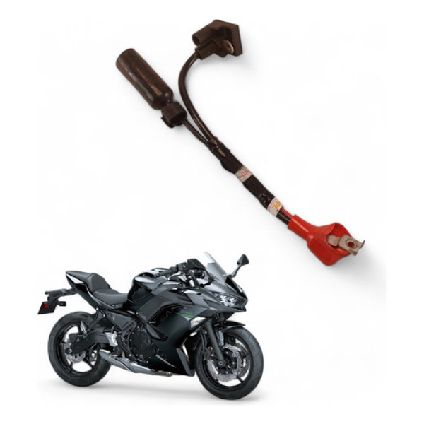 Cabo Positivo Kawasaki Ninja 650 2021