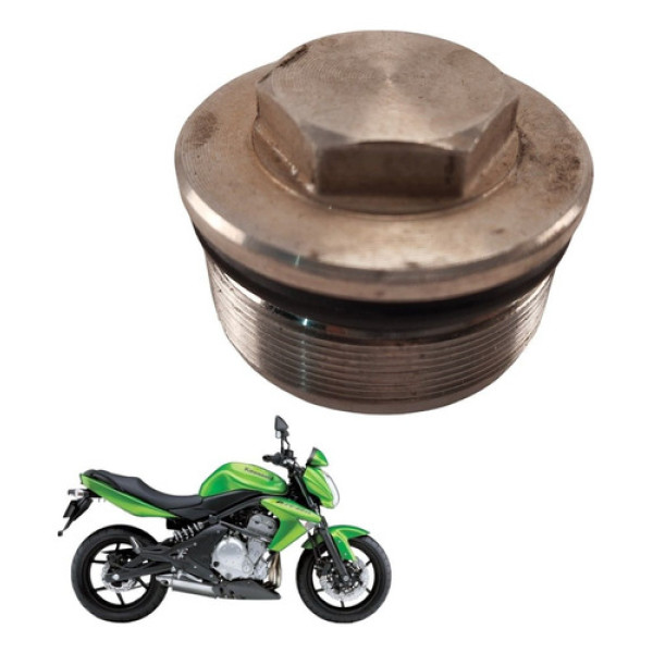 Tampa Bengala Kawasaki Er-6n 2012