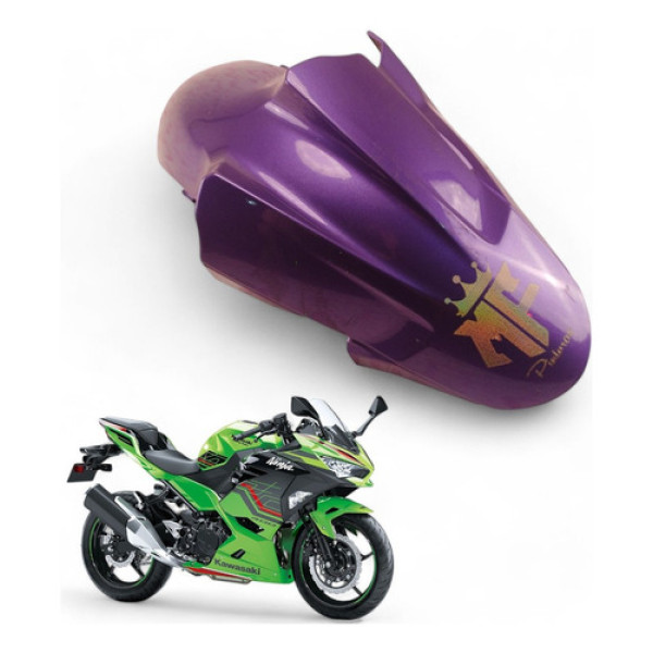 Para-lamas Dianteiro Kawasaki Ninja 400 2019 Com Avaria
