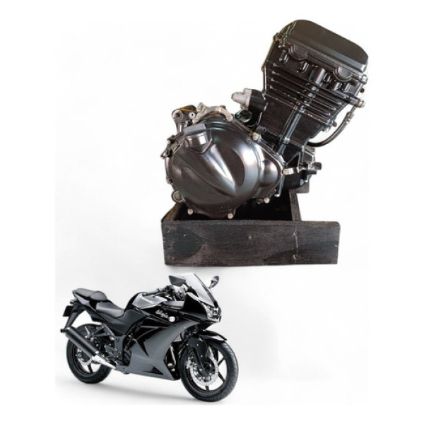 Motor Kawasaki Ninja 250 R 2009