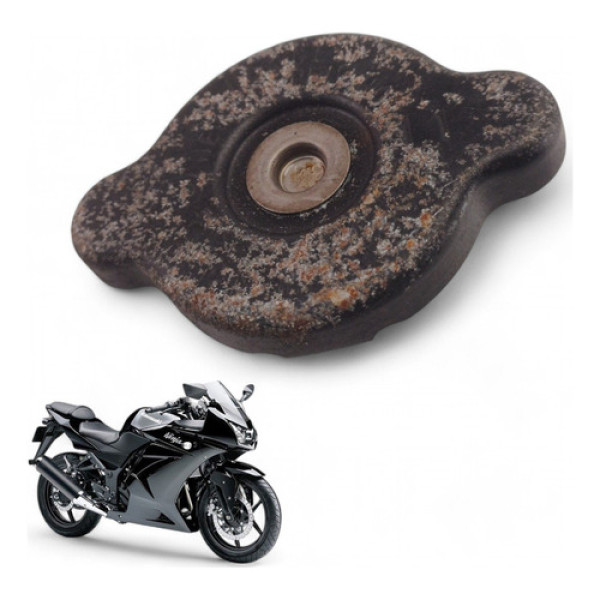 Tampa Radiador Kawasaki Ninja 250 R 2010