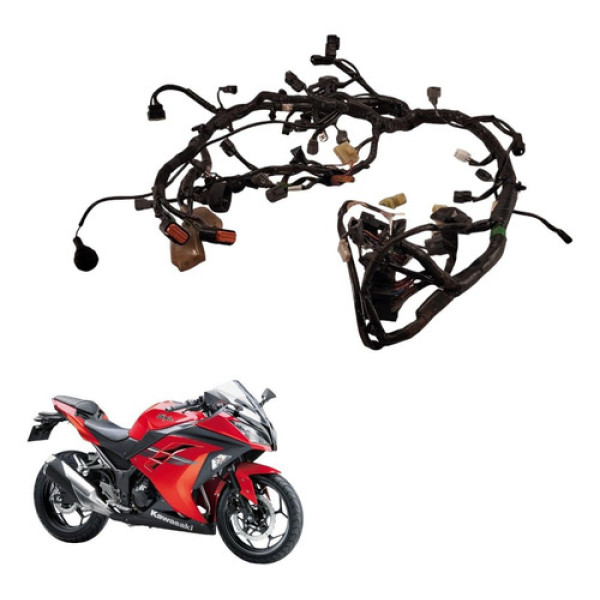 Chicote Principal Kawasaki Ninja 300 2015