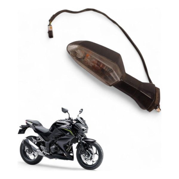 Pisca Traseiro Esquerdo Kawasaki Z300 2019 Com Avaria