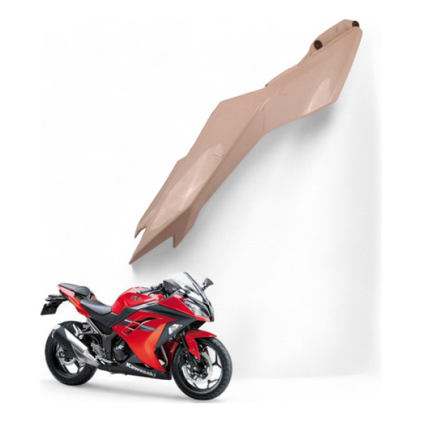 Carenagem Rabeta Direita Kawasaki Ninja 300 2013