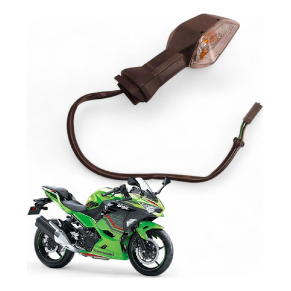 Pisca Traseiro Esquerdo Kawasaki Ninja 400 2019