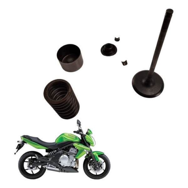 Valvula Admissão Kawasaki Er-6n 2010 2011 2012