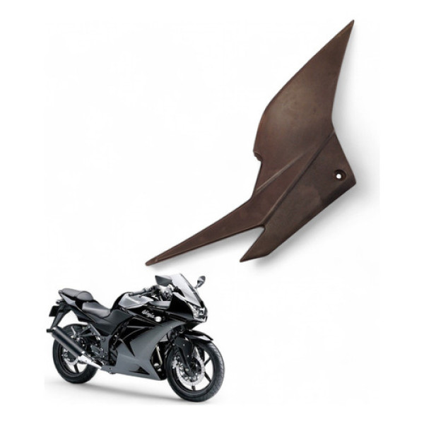 Acabamento Lateral Direito Kawasaki Ninja 250 R 2009