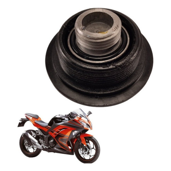 Tampa Ponto Kawasaki Ninja 300 2014