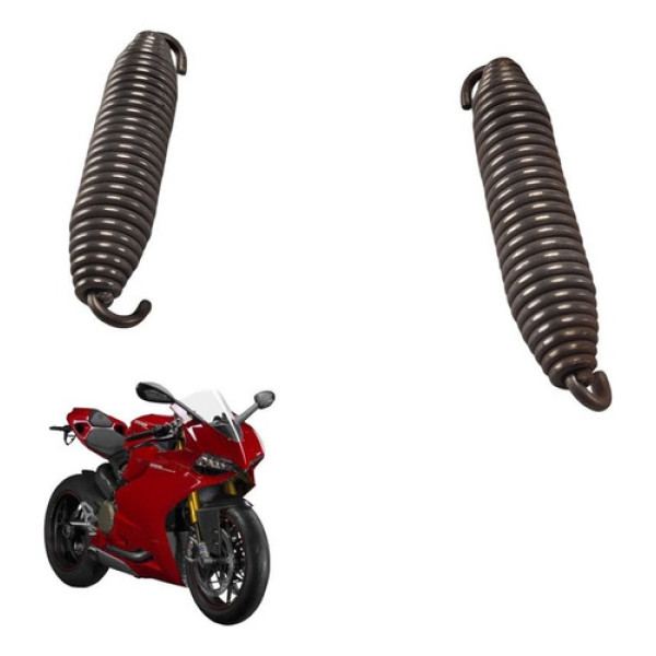 Mola Escapamento Ducati Panigale 1199 2015