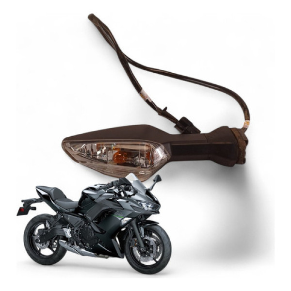 Pisca Traseiro Esquerdo Kawasaki Ninja 650 2021