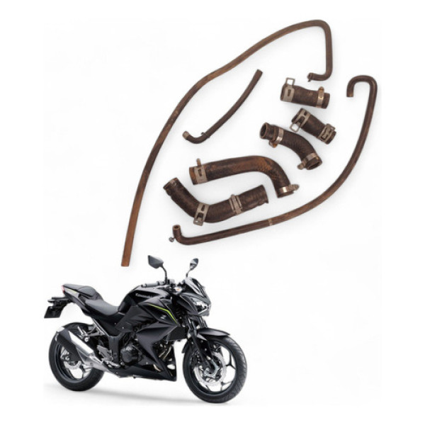 Kit Mangueiras Radiador Kawasaki Z300 2019