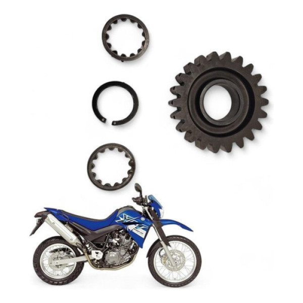 Engrenagem 4 Primaria Yamaha Xt 660 2007