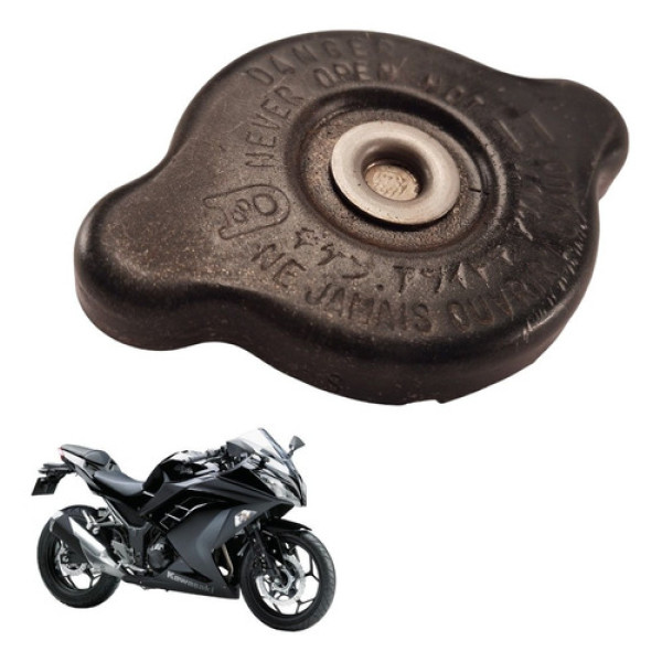 Tampa Radiador Kawasaki Ninja 300 2016