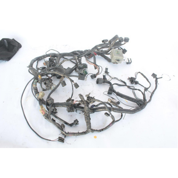 Chicote Com Detalhe Triumph Daytona 955