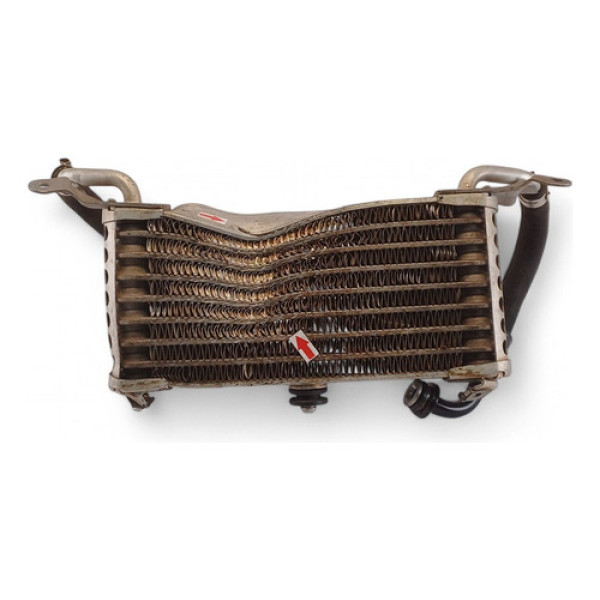 Radiador Óleo Bmw S1000 Xr 2017 Com Avaria