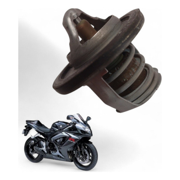 Válvula Termostática Suzuki Srad 750 2008