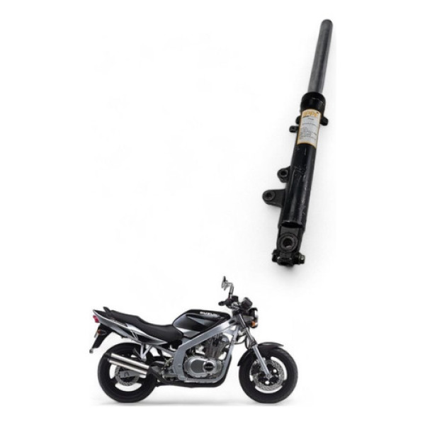 Bengala Direita Suzuki Gs 500 E 2004