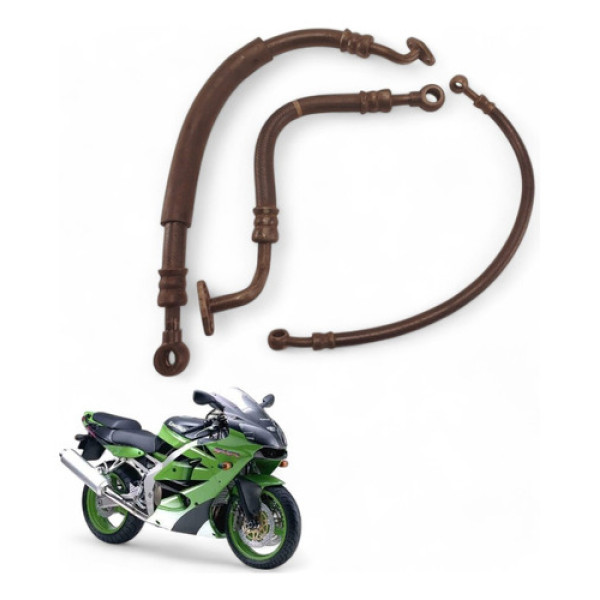 Mangueira Radiador Óleo Kawasaki Zx 6r 1996