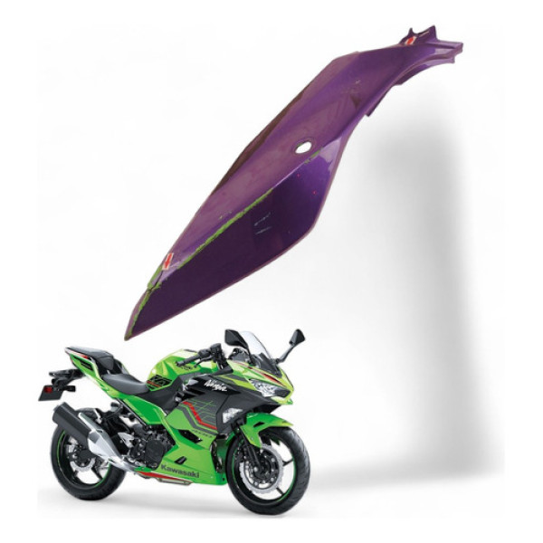 Carenagem Rabeta Esquerda Kawasaki Ninja 400 2019 Com Avaria