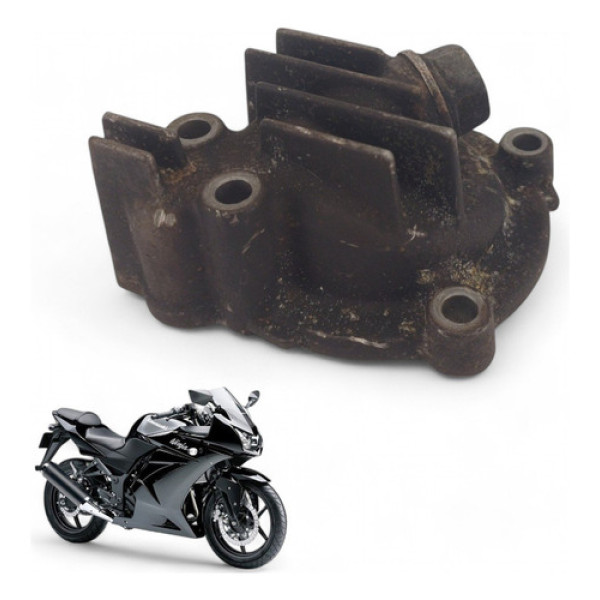 Tampa Cárter Kawasaki Ninja 250 R 2010