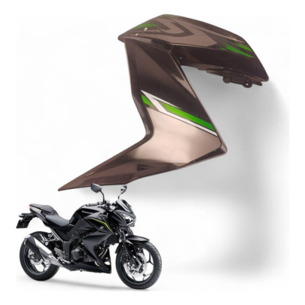 Carenagem Lateral Esquerda Kawasaki Z300 2019 Com Avaria