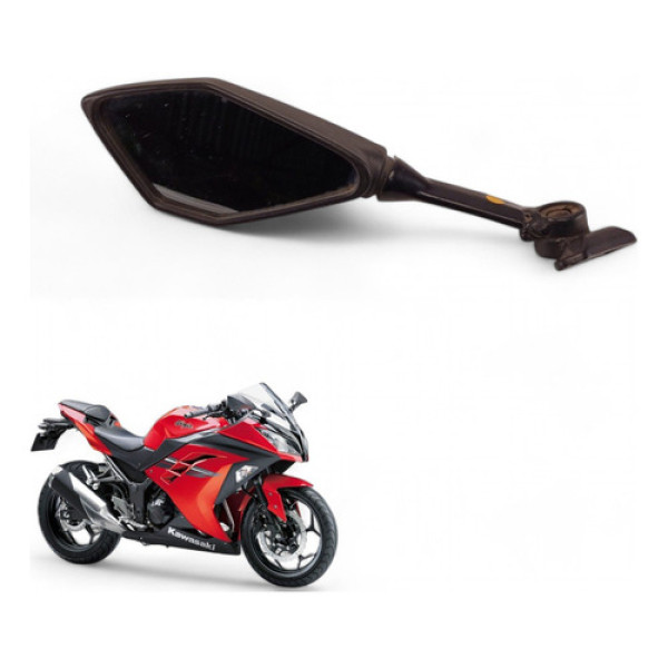 Retrovisor Esquerdo Kawasaki Ninja 300 2014 Com Avaria