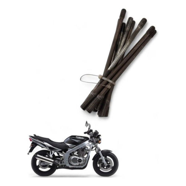 Prisioneiros Bloco Suzuki Gs 500 E 2004