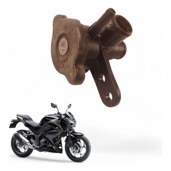 Bocal Radiador Kawasaki Z300 2019