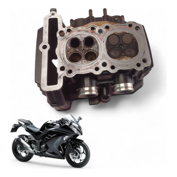 Cabeçote Kawasaki Ninja 300 2015